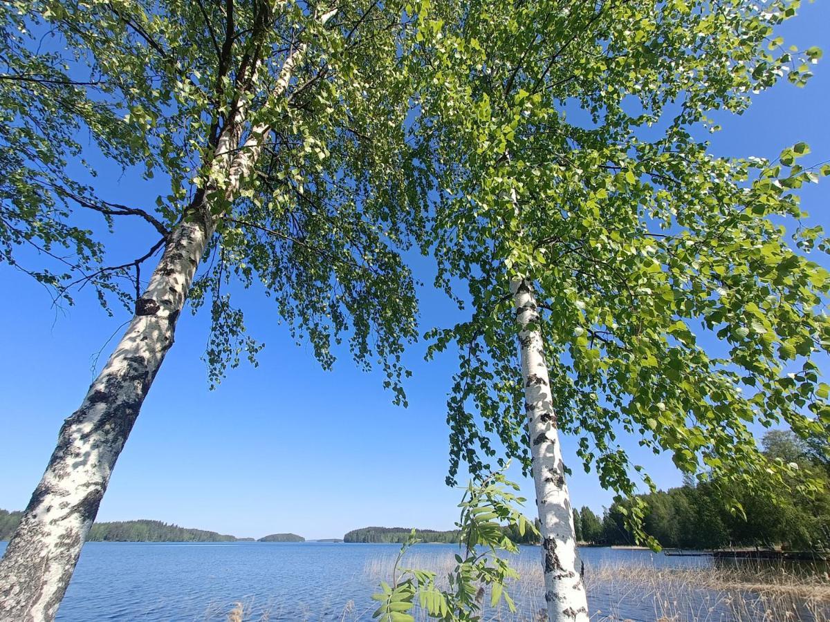 Cronin'S Guesthouse Bed & Breakfast Heinola Eksteriør billede