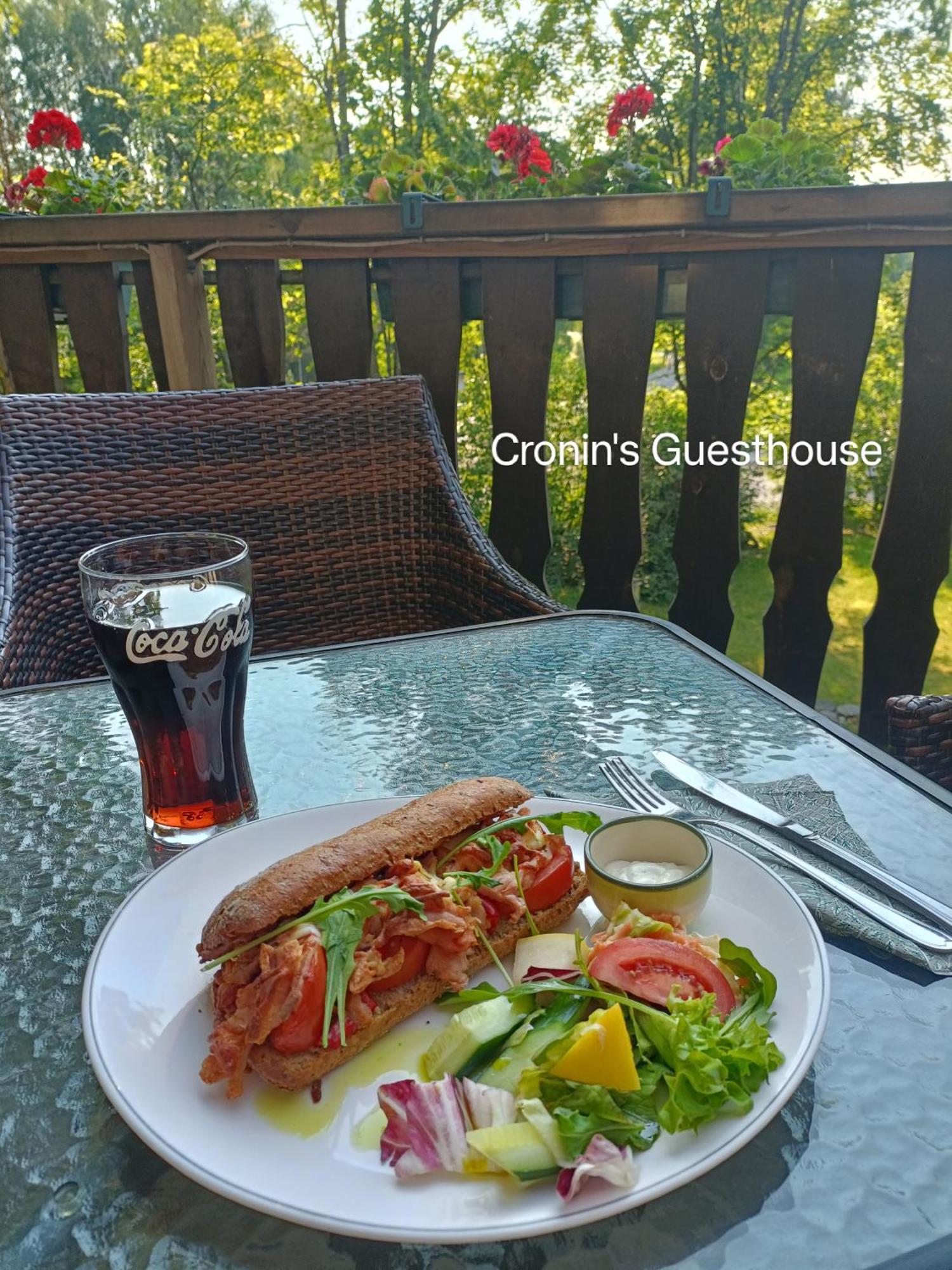 Cronin'S Guesthouse Bed & Breakfast Heinola Eksteriør billede